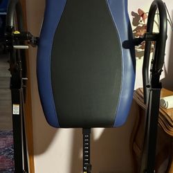 Inversion Table 