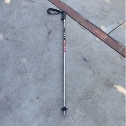 Lexi Ski Pole