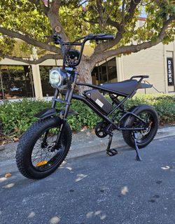 20 inch fat tire large lcd screen 750w motor 48V  battery 28MPH electric bicycle