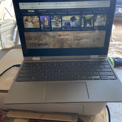 Standard Poodle Laptop 