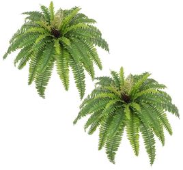Artificial Boston Fern Plants Set of 2