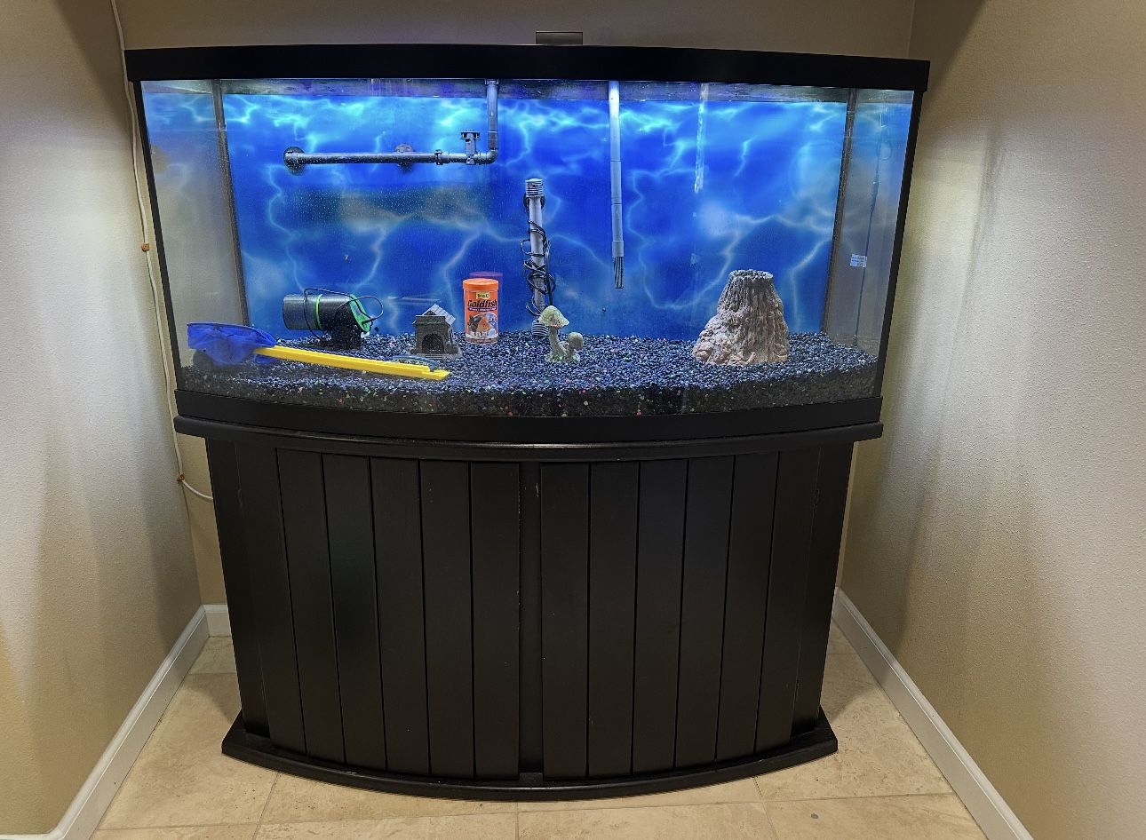 75 gallon Fish Tank And All Stuffs Including 