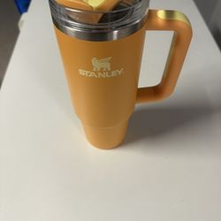 stanley quencher h2.0 flowstate tumbler 30oz orange 