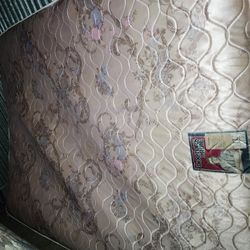 Free 2 queen mattresses and box springs and natural wood dresser
