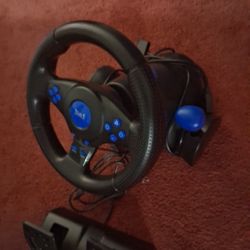 Steering Wheel And Pedal