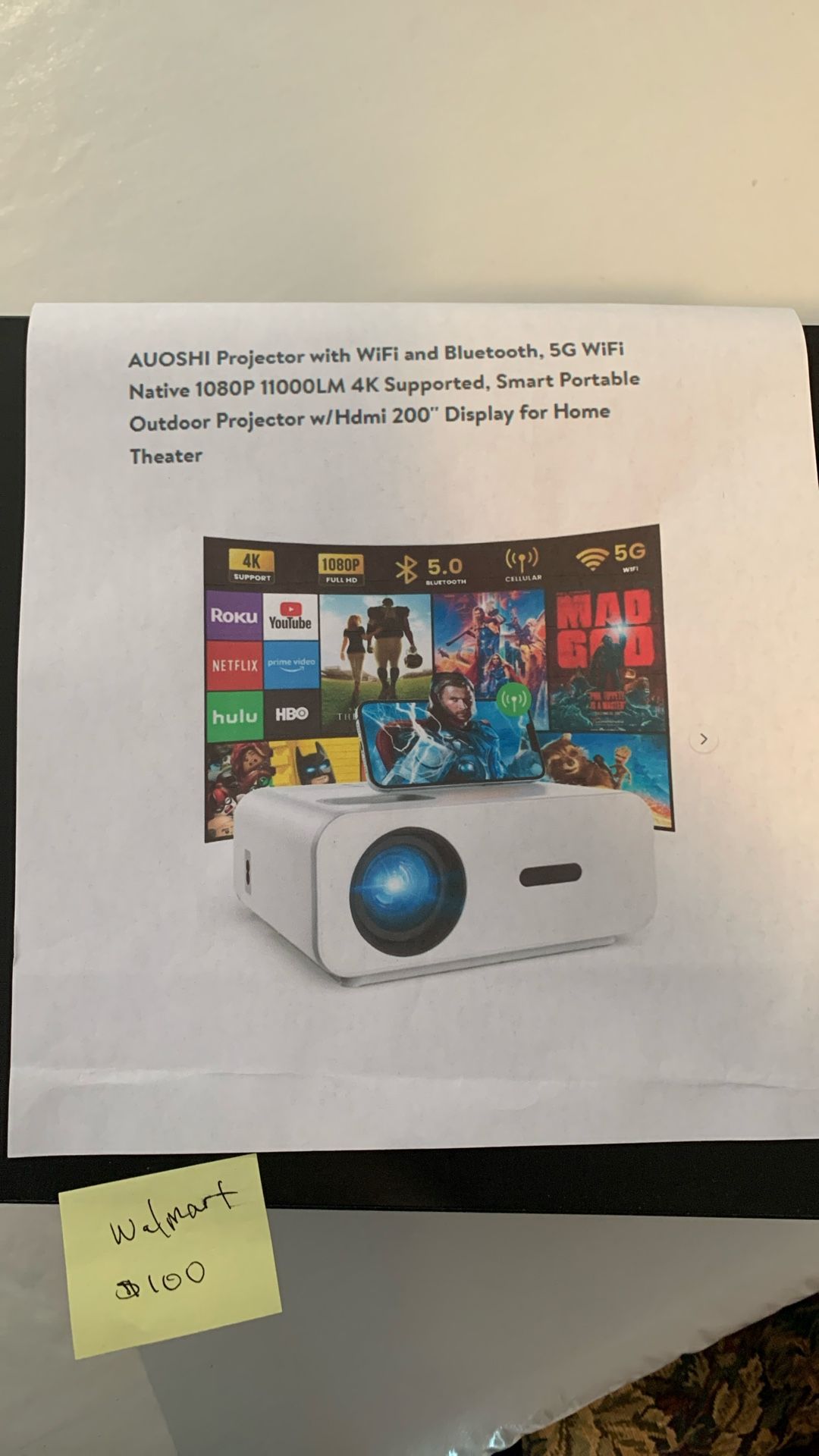 Outdoor Projector/home Theatre