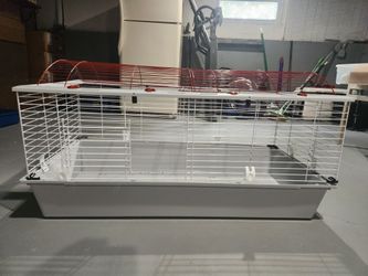 Rabbit house and fence