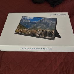 15.6 Portable Monitor 