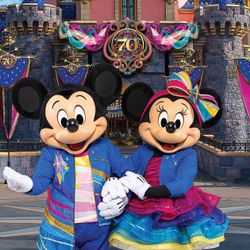 DISNEYLAND TICKET 7/27/2025