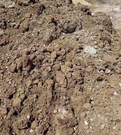 FREE CLEAN DIRT + FREE DELIVERY🚚