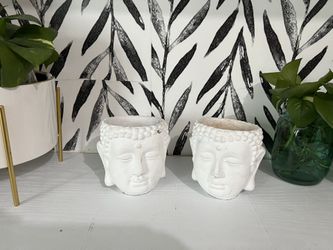 Plant Pots