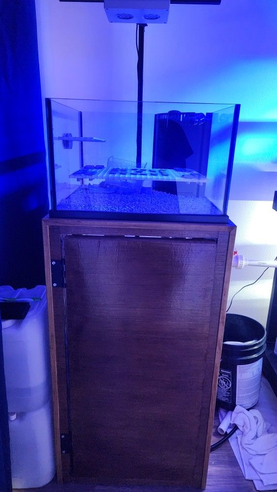 30 Gal Frag Tank 