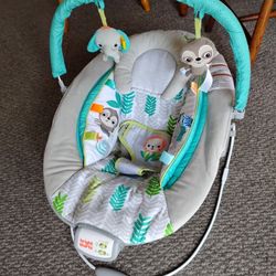 Baby Bouncer 