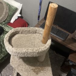 Cat Tower 