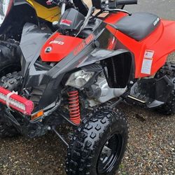 2023 Can Am DS250