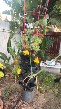 Vegetable or Plant Tower