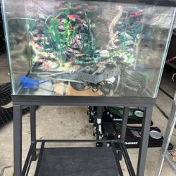 20 Gallon Fish Tank