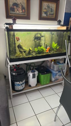 Fish Tank