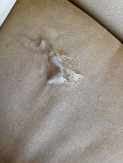 Free couches