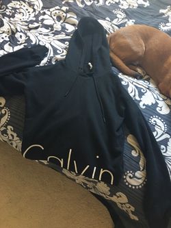 calvin klein sweatshirt