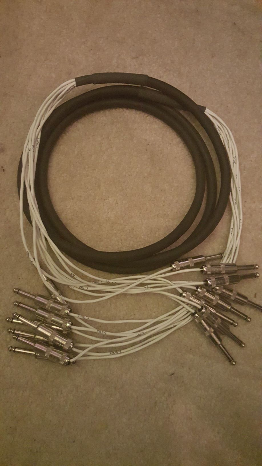 10 foot, 8 channel, 1/4 cable snake TS male to male.