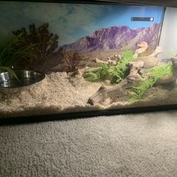 Reptile Enclosure