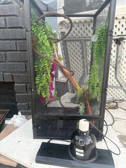 Chameleon Enclosure with Decor and Heat Lamp