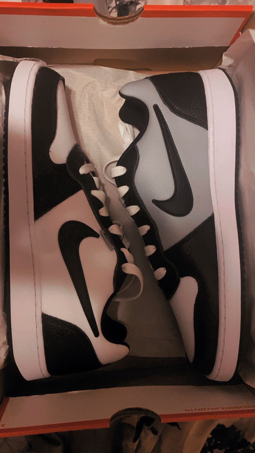Nikes