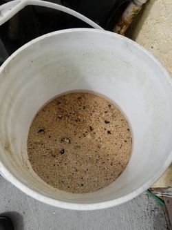 live sand about 80lbs