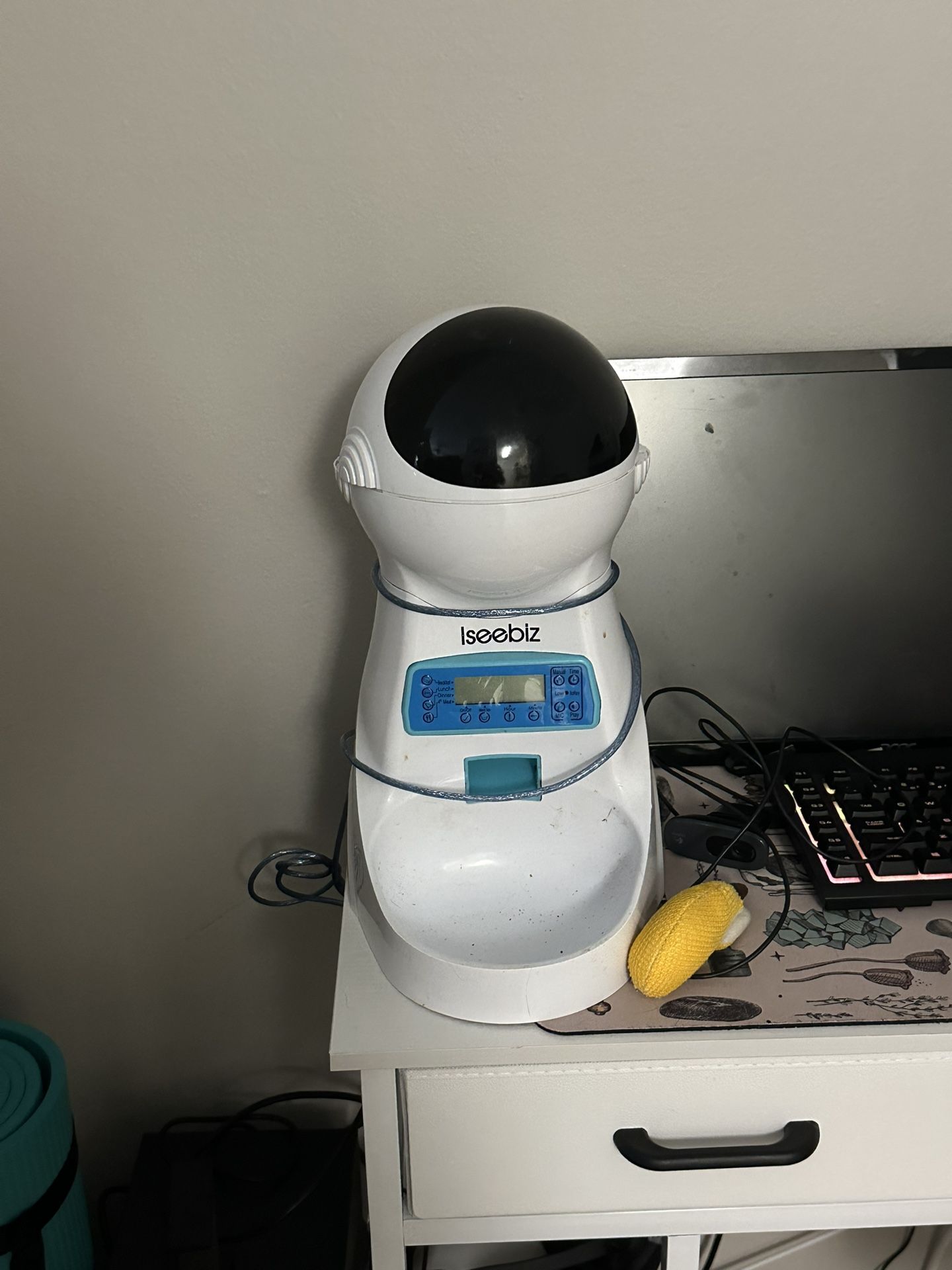 Automatic Feeder