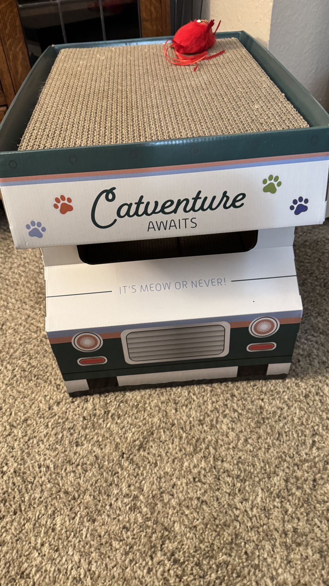 Cat Tv