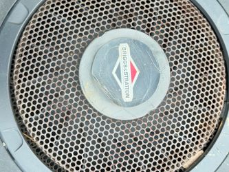 Briggs & Stratton