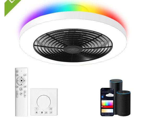 Smart Ceiling Fan/light