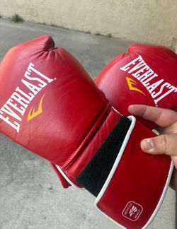 Everlast Mx OG Boxing Gloves 16oz Hook & Loop (1st original version)