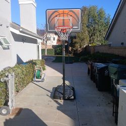 Lifetime Basketball Hoop