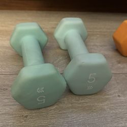 5 lb Dumbbells (Pair – Mint Green)