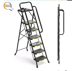 6 Step Ladder