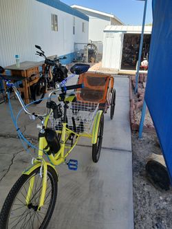 26inch Adult Tricycle