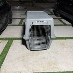 Pet Kennel 