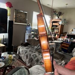 violin 