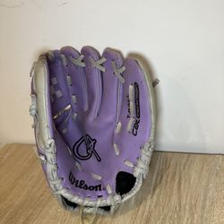 Wilson Youth T-Ball Glove.