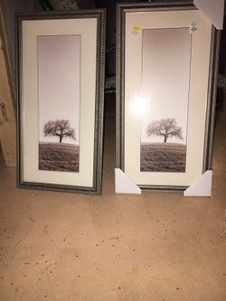 2 pictures with frame