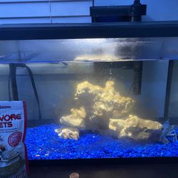 5 Gallon Craw Fish Tank 