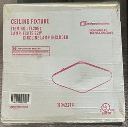 Ceiling Light Fixture and bulb