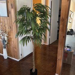 High Quality Faux/Fake Tree Plant Decor - 62” Tall