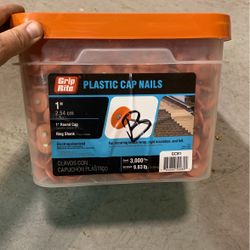 Roofing Cap Nails