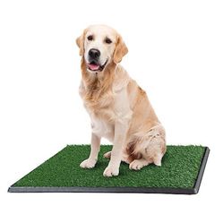 “New”Grass Ped Pad (20” X 30”)house Breaking 3 Layer(retail$39)