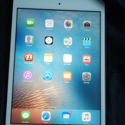 ipad Mini w/Wi-Fi 