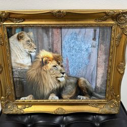 Gold Colored Wood Picture Frame 15” X 17”