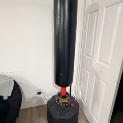 Standing punching Bag